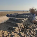 Un Cocon Proche De La Mer